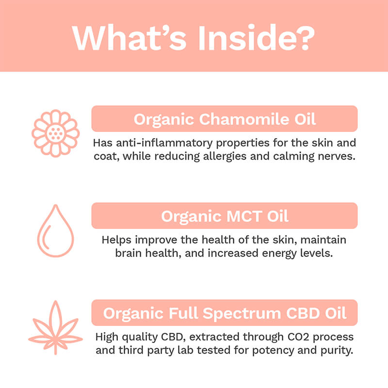 Penelope's Bloom CBD Oil For Dogs 250mg – 1000mg