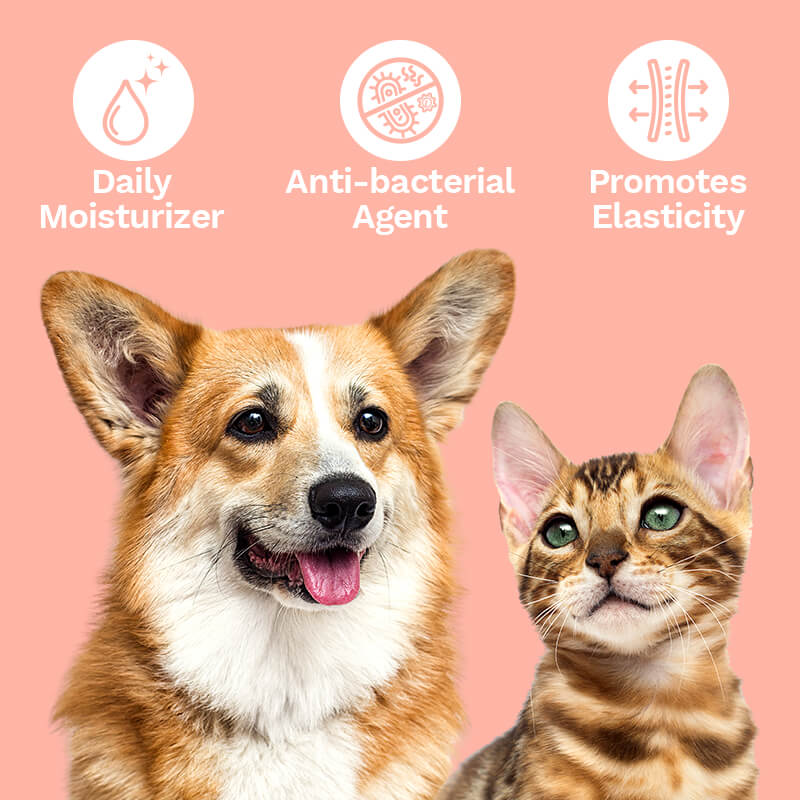 Soothing CBD Pet Balm for Dogs & Cats