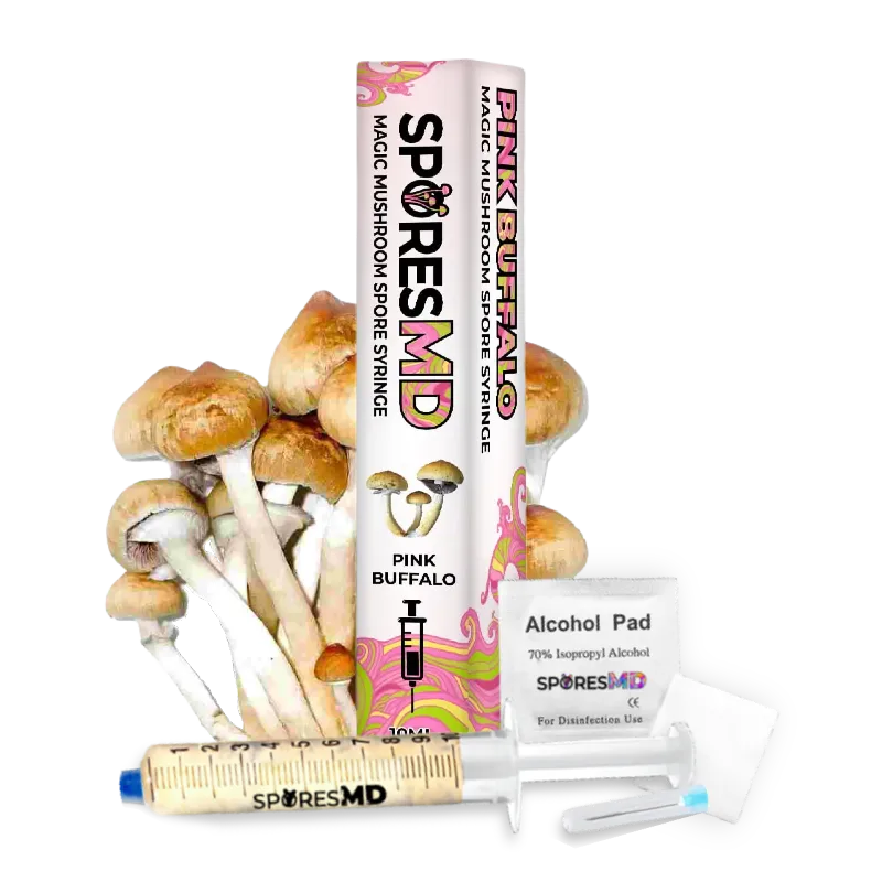 SporesMD Pink Buffalo Mushroom Liquid Culture (10ml)