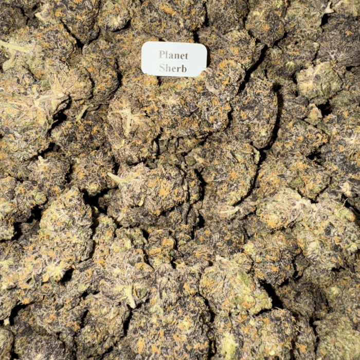 Bloomz Blazed Exotic THCA Flower Best Price