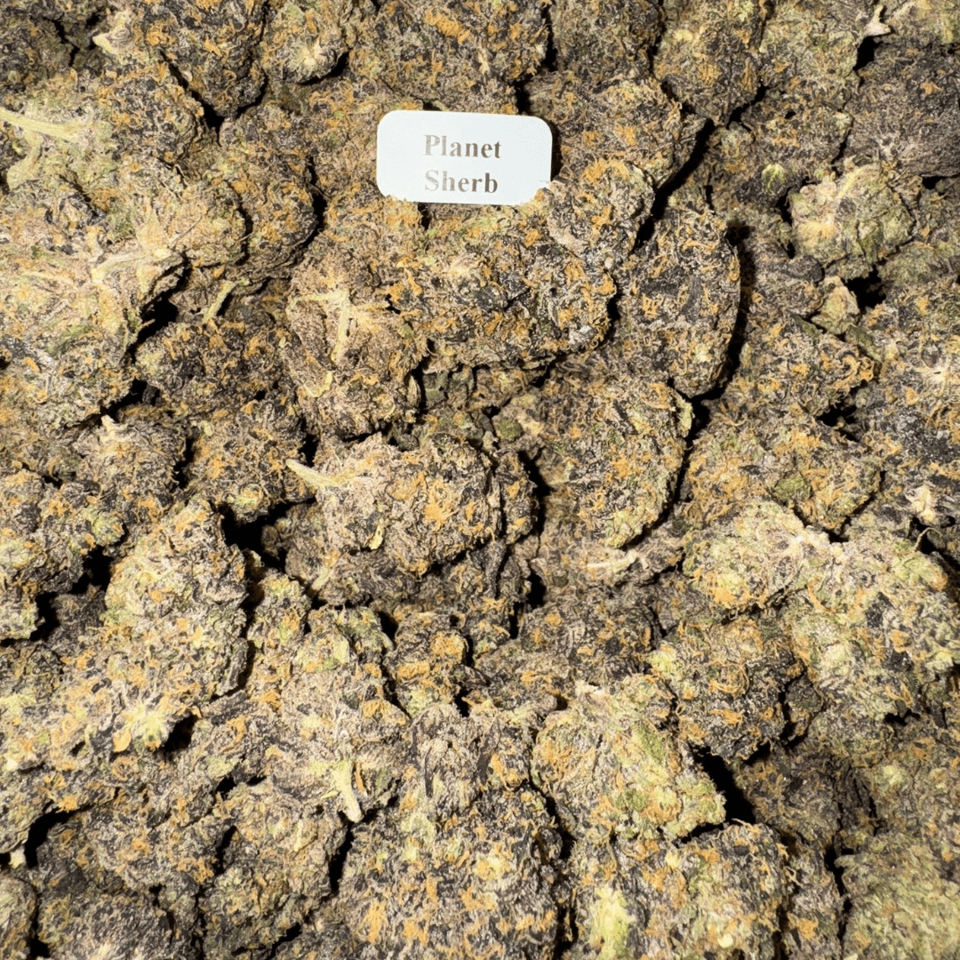 Bloomz Blazed Exotic THCA Flower Best Price