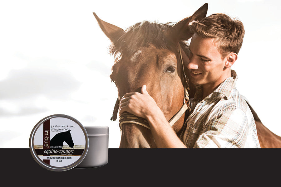 Imbue CBD Salve of Full Spectrum of Hemp Extract for Farm and Ranch Best Price