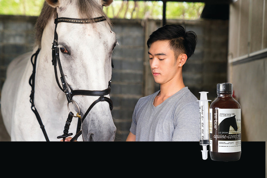Imbue CBD Tincture of Full Spectrum Hemp Extract for Horses Best Price