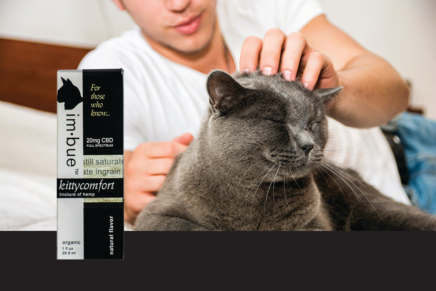Imbue CBD Tinctures of Full Spectrum Hemp Extract for Pets Best Price