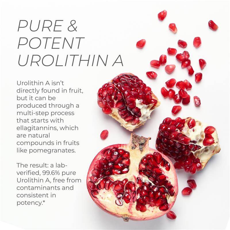 Neurogan Health Urolithin A Capsules