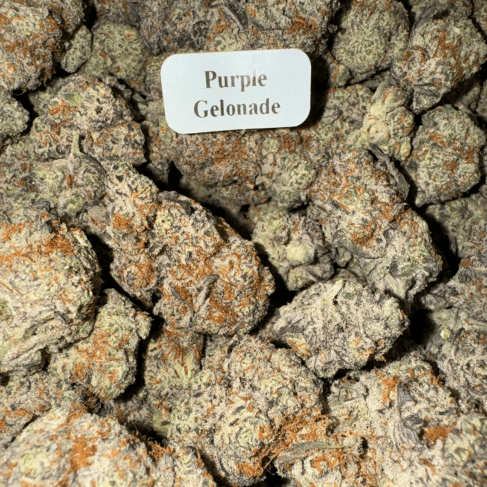 Bloomz THCA Flower – Gold Line Best Price