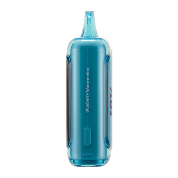 Blueberry Watermelon RAZ DC25000 Best Sales Price - Disposables