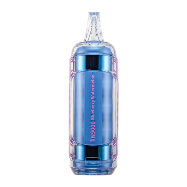 Blueberry Watermelon RAZ TN9000 Best Sales Price - Disposables