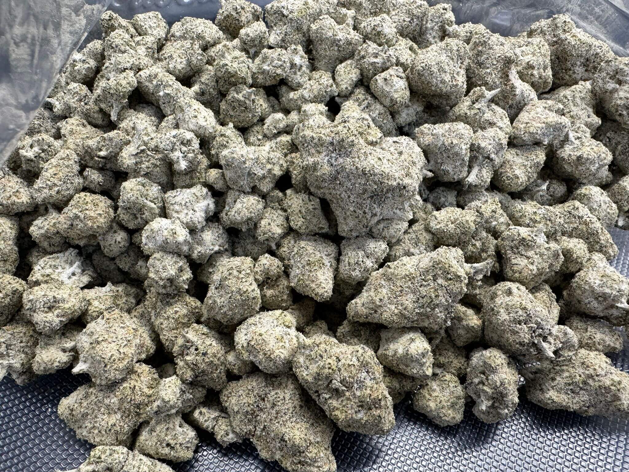 Bloomz THCA Snowballs – Gold Line Best Price