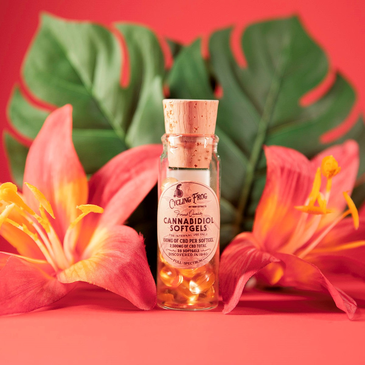 Cycling Frog Softgels, 100mg CBD + 1mg THC