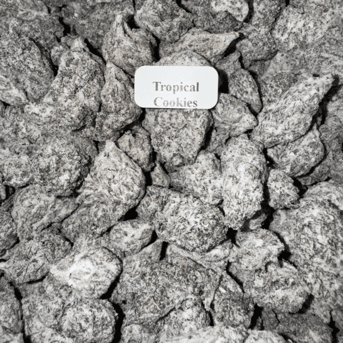 Bloomz Blazed Strongest Exotic Snow Caps Best Price