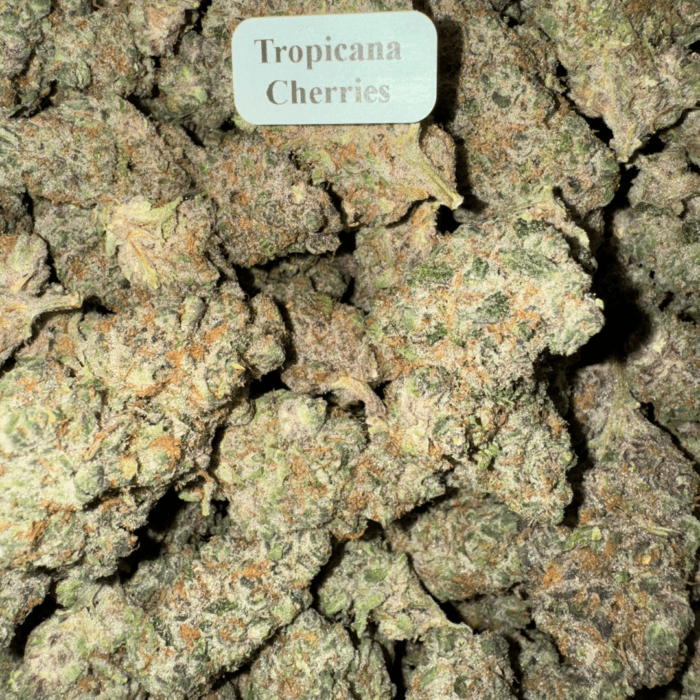 Bloomz Blazed Exotic THCA Flower Best Price