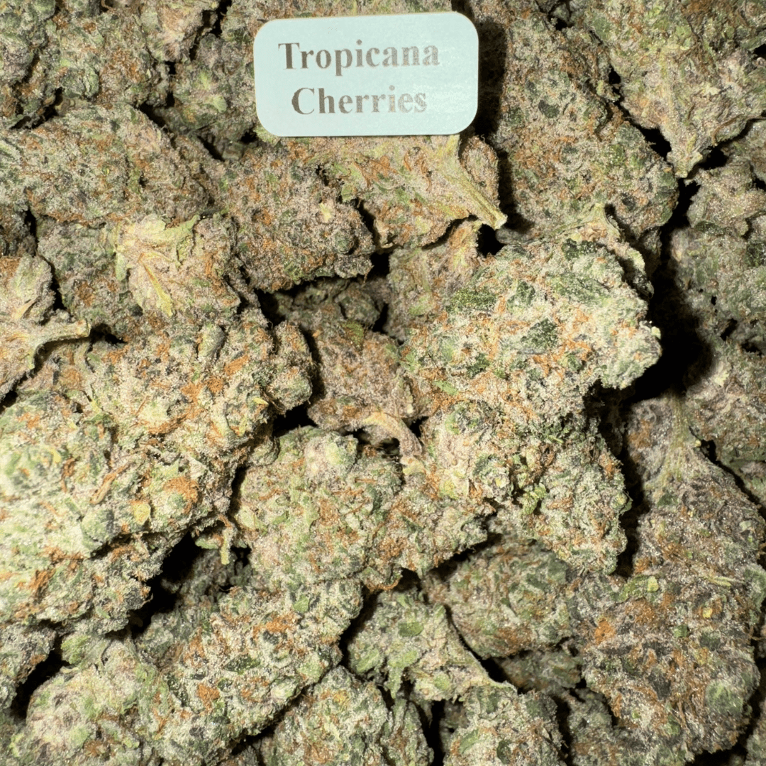 Bloomz Blazed Exotic THCA Flower Best Price