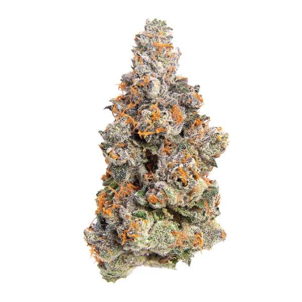 Turn Hemp Premium THCA Flower 3.5g