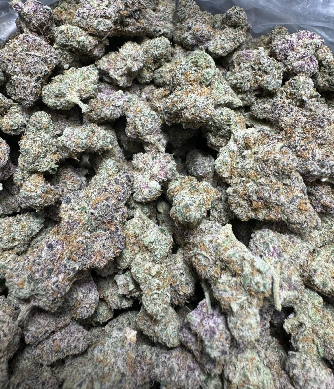 Bloomz Exotic THCA Pre-Rolls Gold Line – 3-Pack/6 Pack Best Price