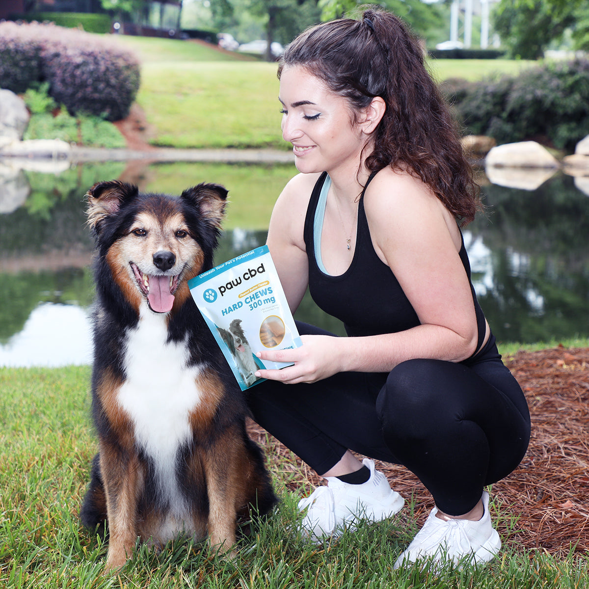 Paw CBD Broad Spectrum CBD Dog Hard Chews