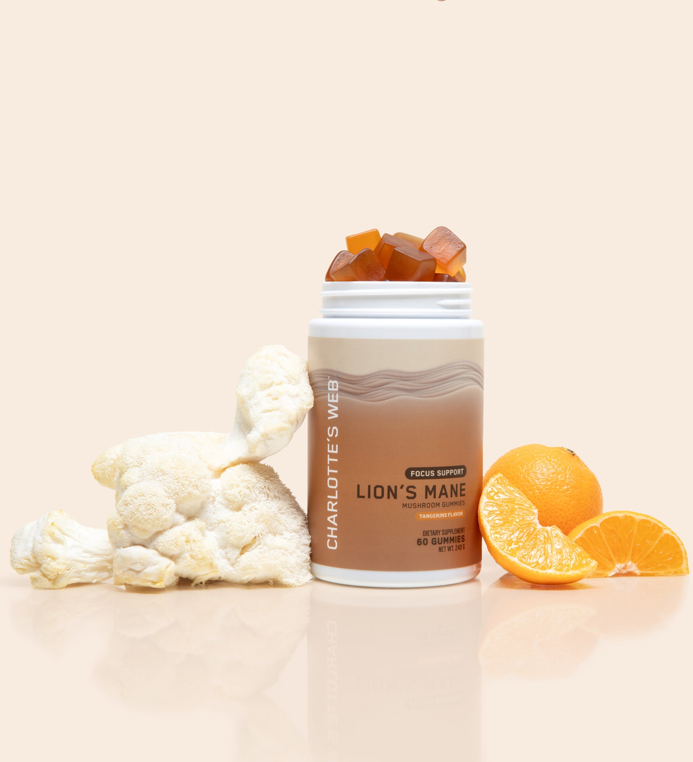 Charlotte's Web The Heart & Soul Bundle Best Price