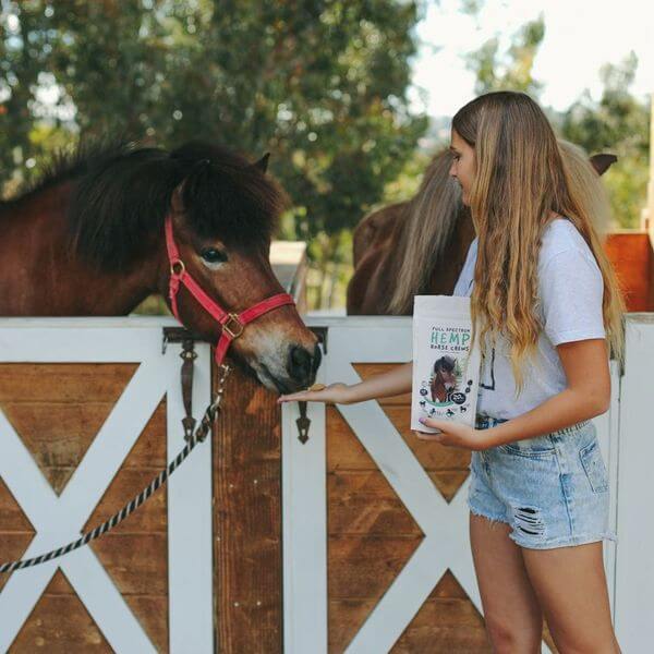 Neurogan CBD Horse Chews