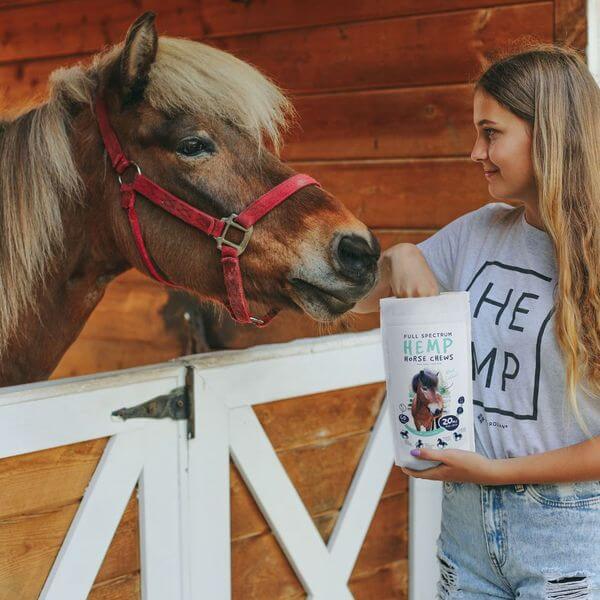 Neurogan CBD Horse Chews