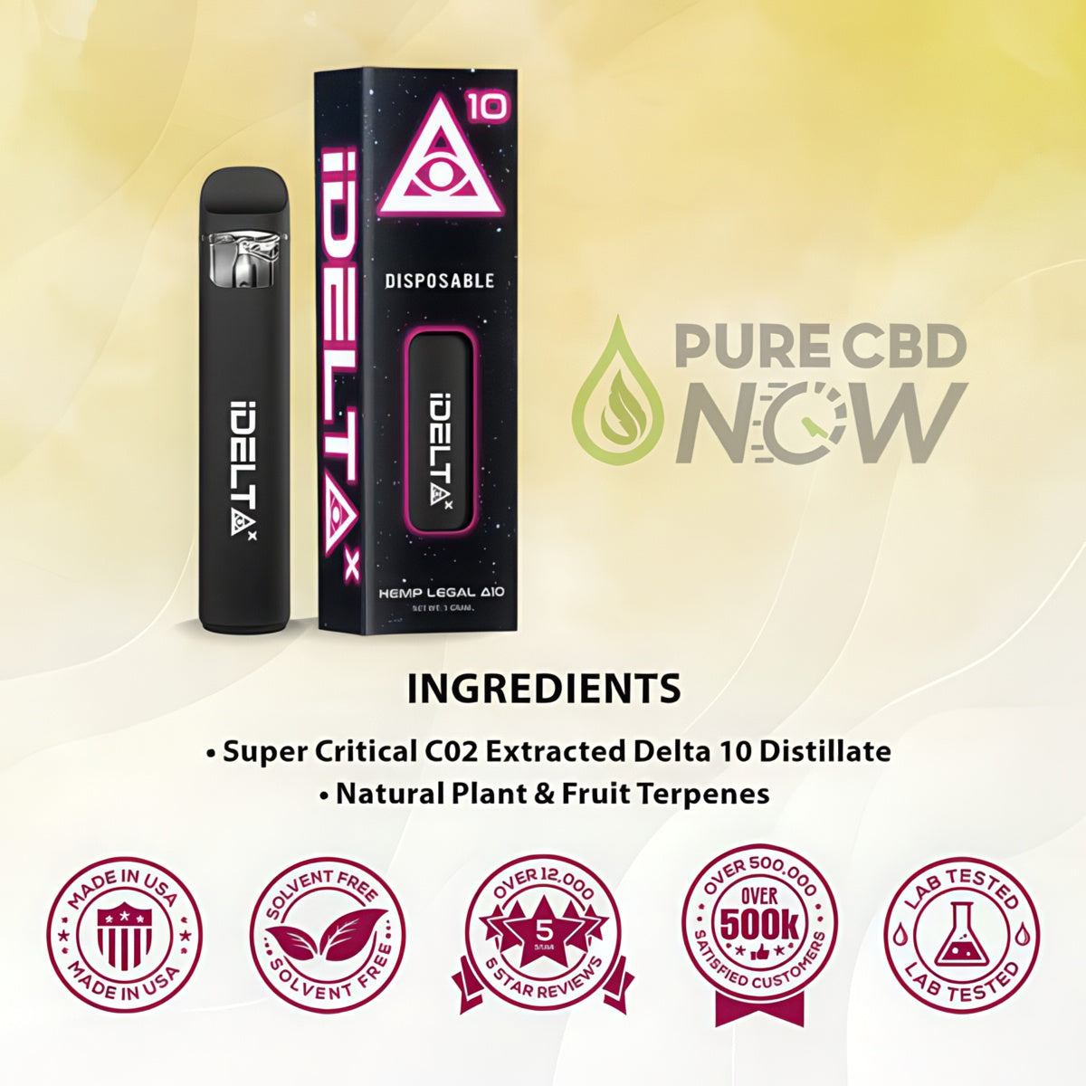 iDELTAX Disposable Delta 10 Vape Pen Full Gram