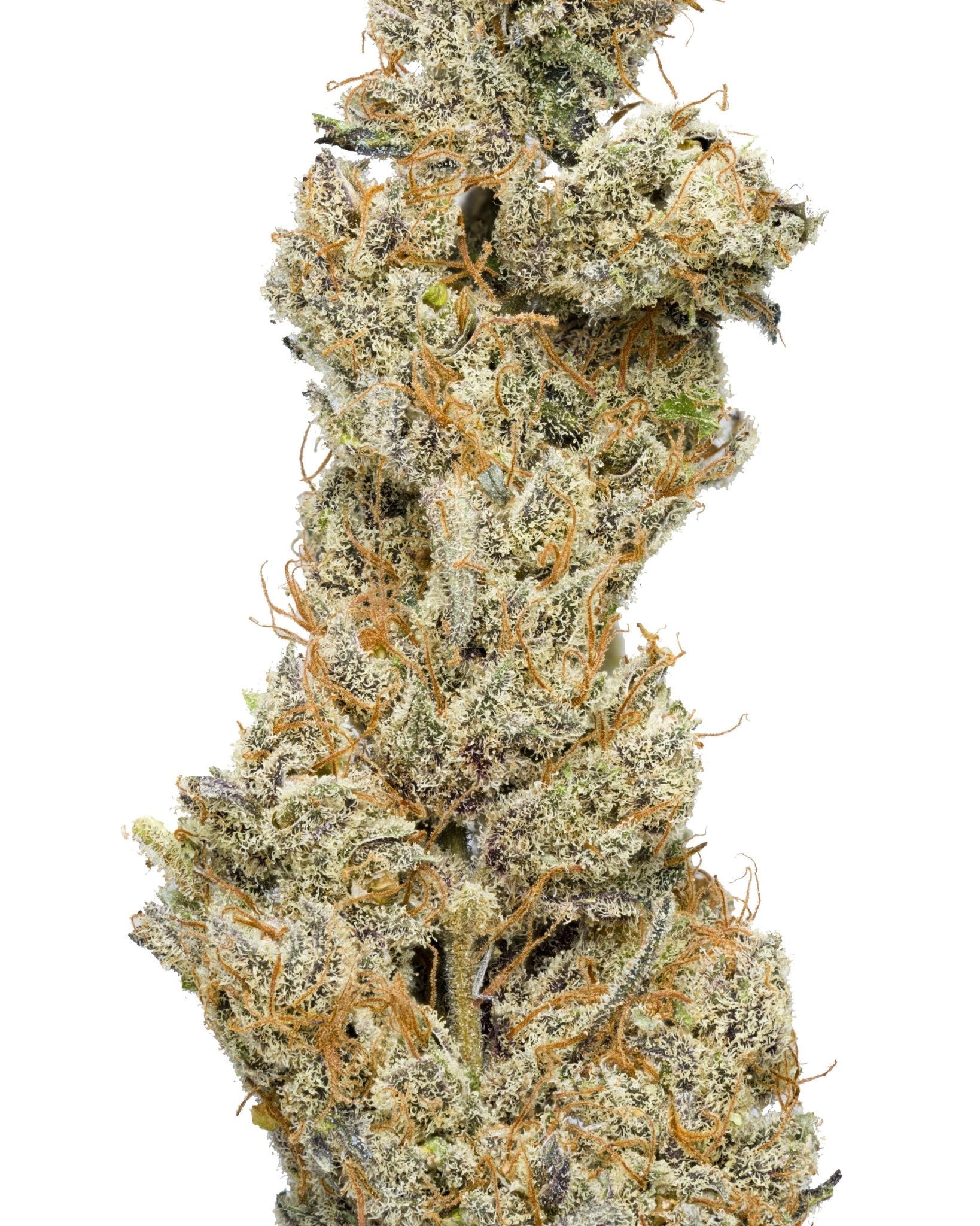 Secret Nature Melon Frost