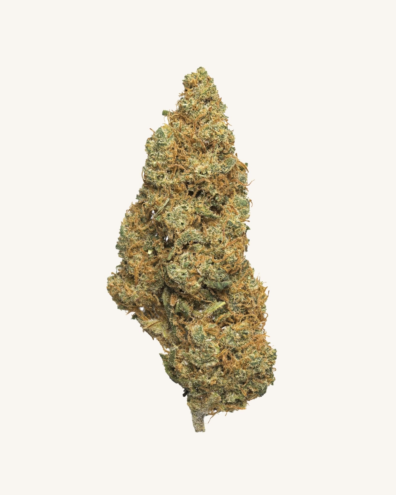 Secret Nature Mr. Rainbow