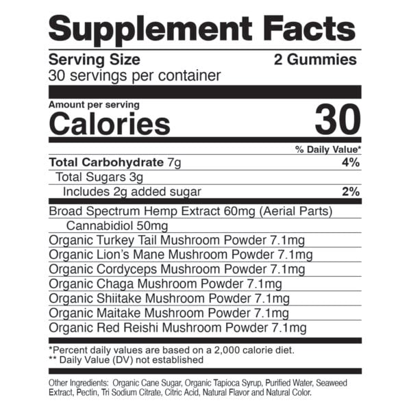 CBDfx CBD Gummies With Mushrooms for Wellness 1500mg