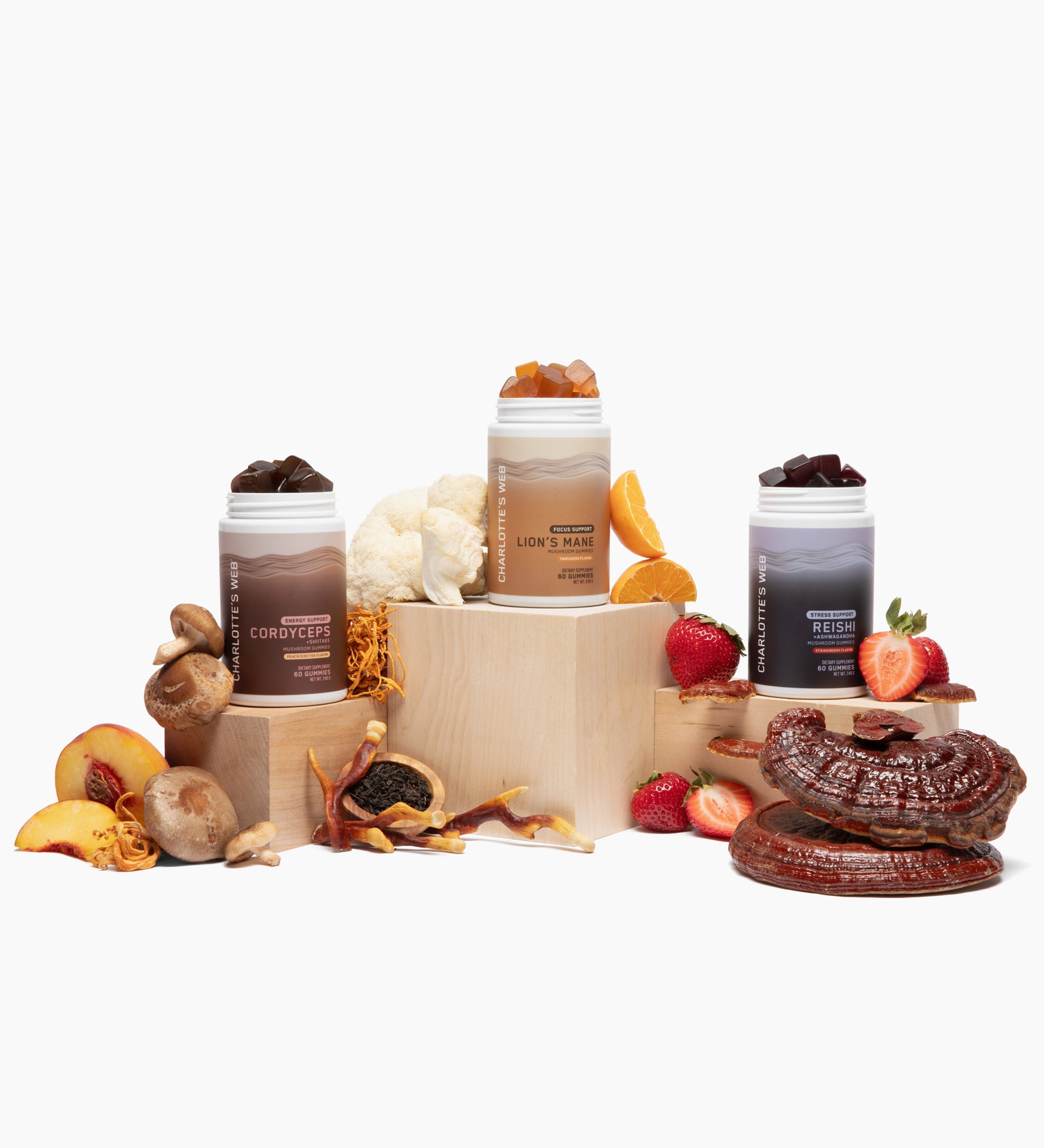 Charlotte's Web The Heart & Soul Bundle Best Price