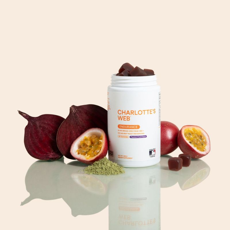 Charlotte's Web Endurance Gummy Best Price