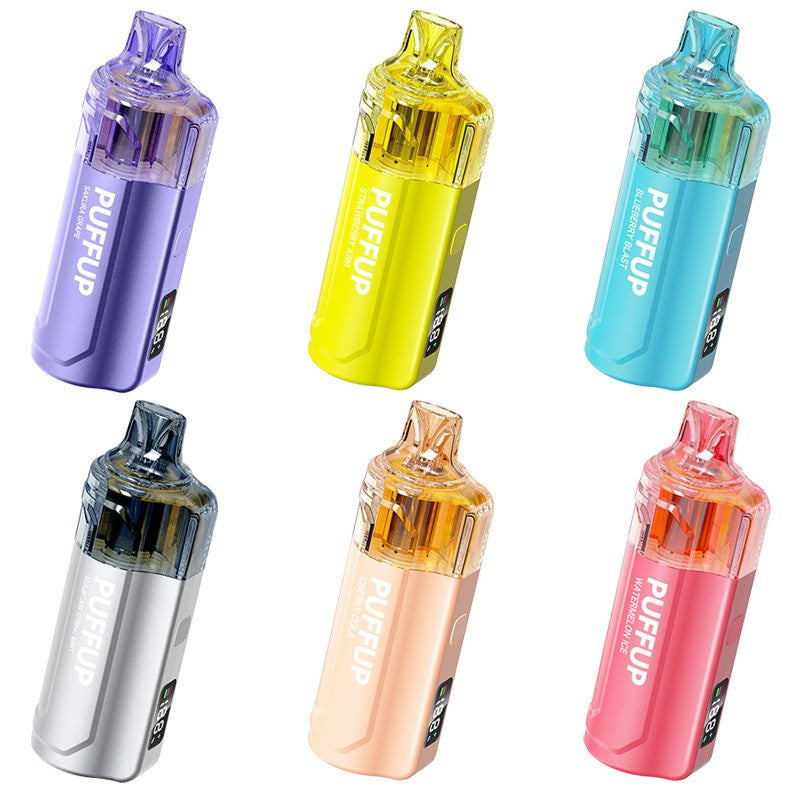 Puffup 25000 Puffs Disposable Vape (15ml, 5%)
