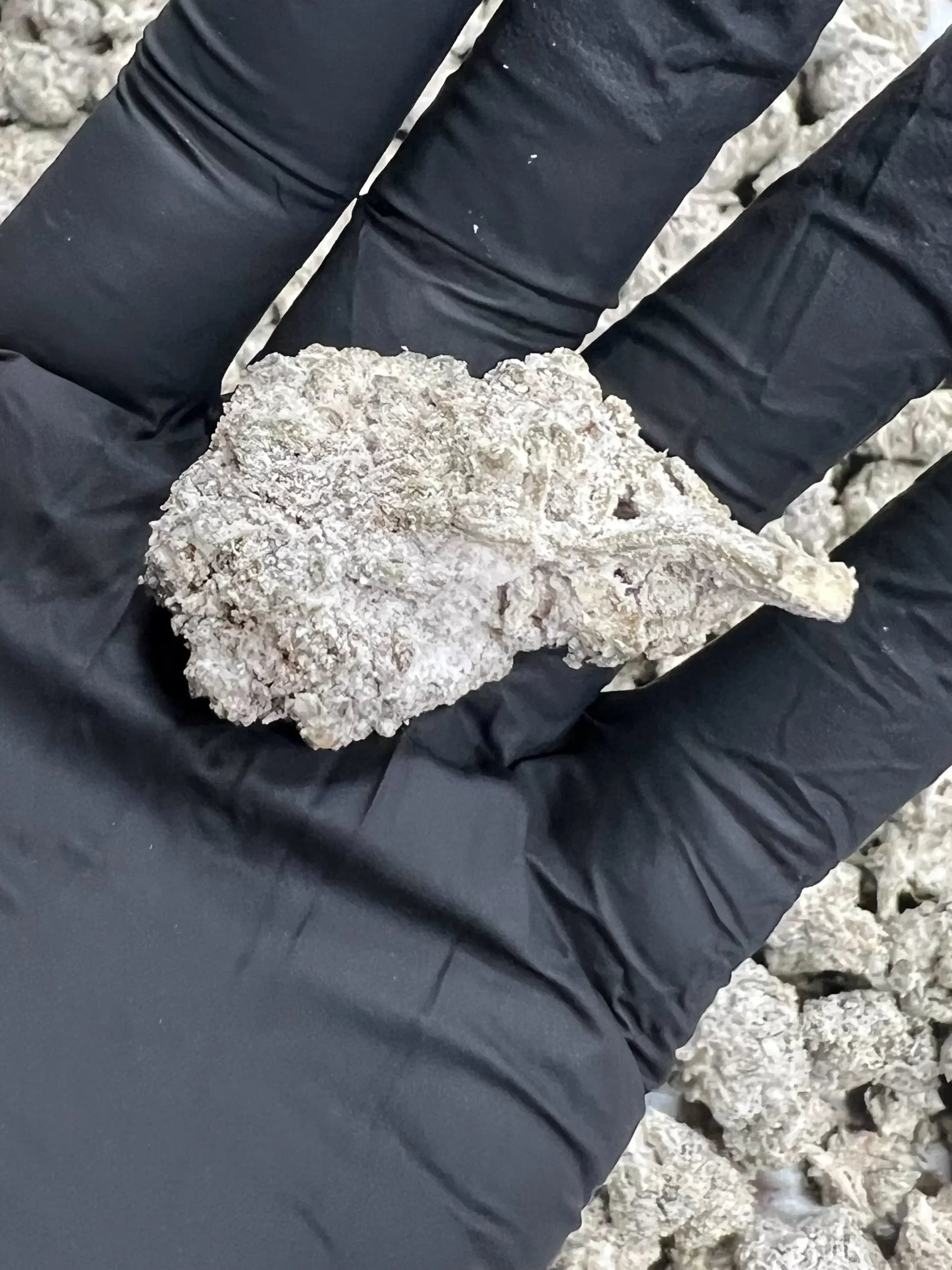 Purge THCa Snowballs Flower 3.5g Best Price