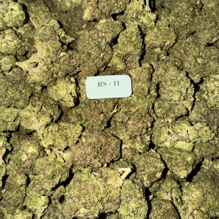 Bloomz THCA Flower Best Price