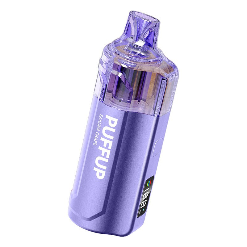 Puffup 25000 Puffs Disposable Vape (15ml, 5%)