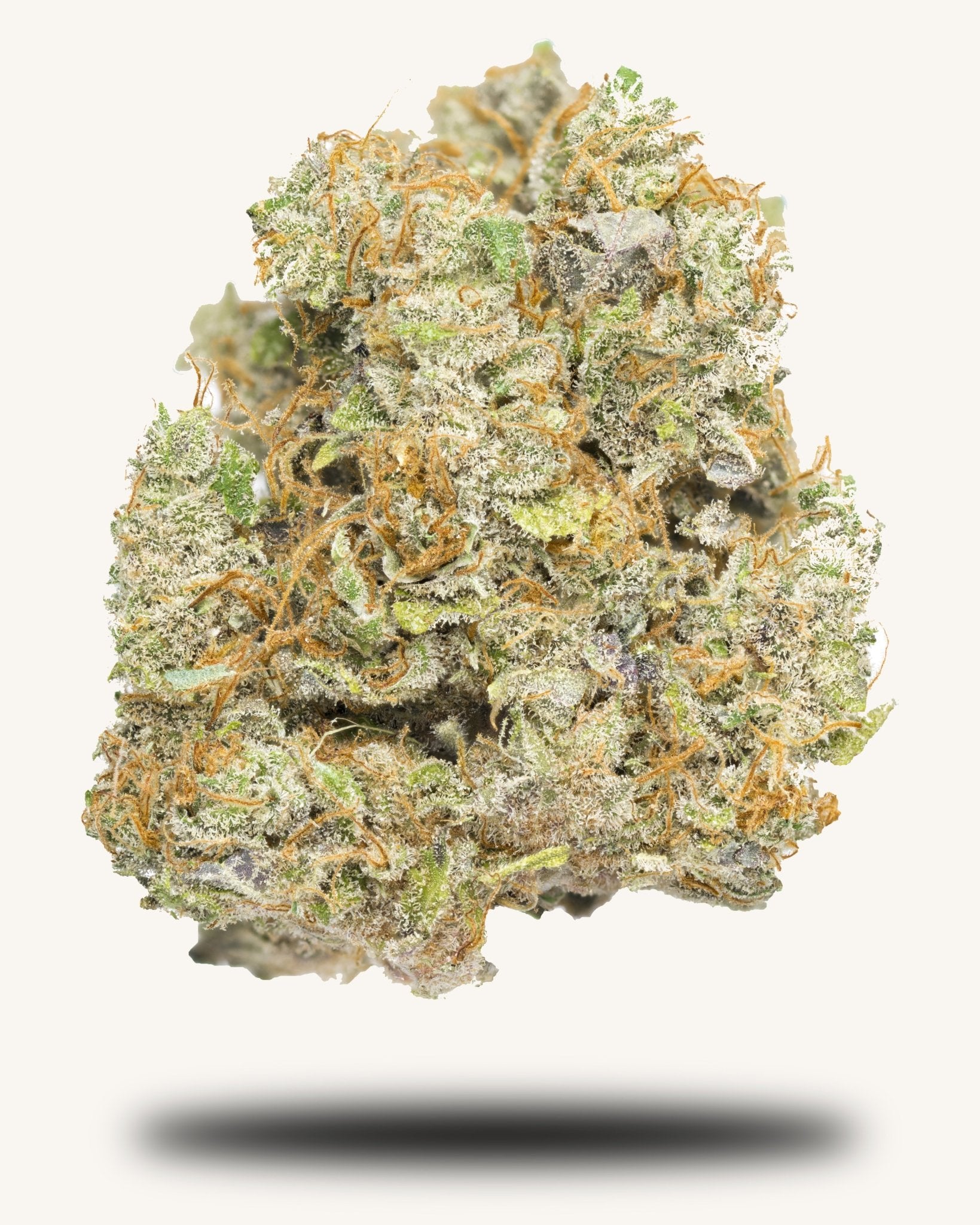 Secret Nature Secret Dream