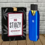 Stiiizy Hemp BIIIG Stiiizy Pod System Best Price