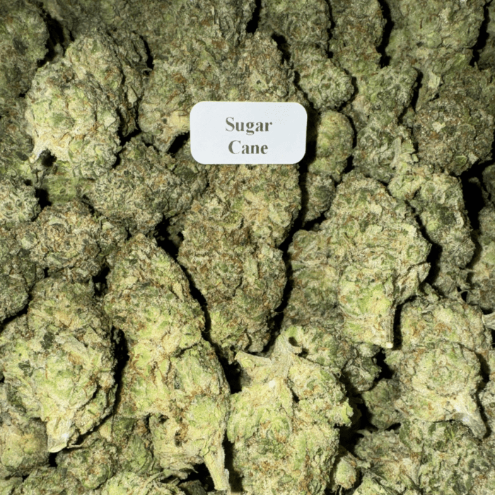 Bloomz THCA Flower – Gold Line Best Price