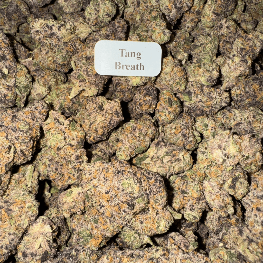 Bloomz THCA Flower – Gold Line Best Price