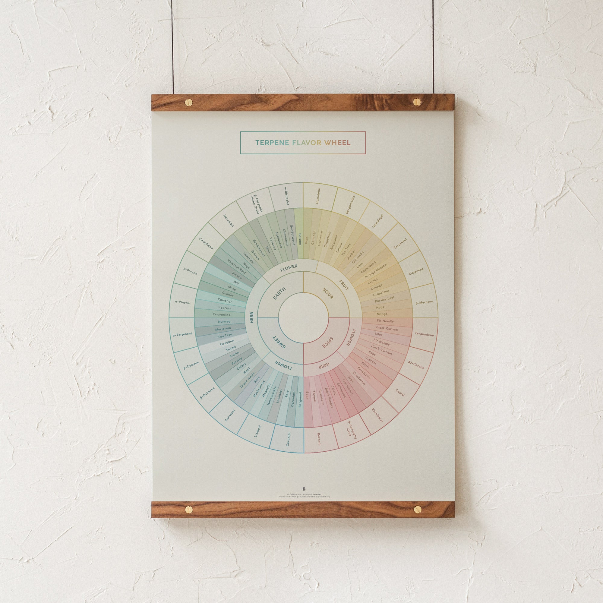 GoldLeaf Diagrama de la Rueda de Sabores y Terpenos Impresión