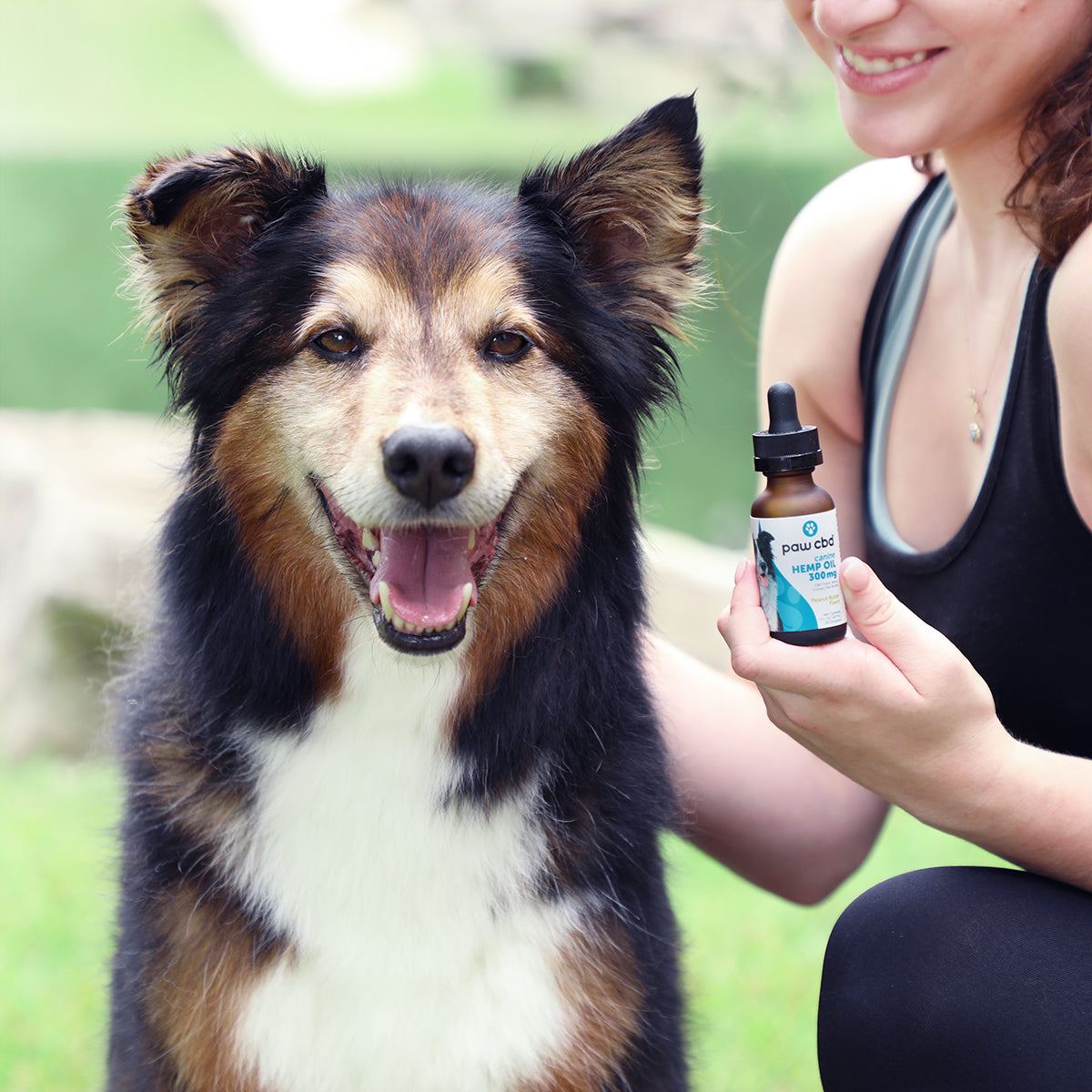 Paw CBD Broad Spectrum CBD Dog Oil Tincture