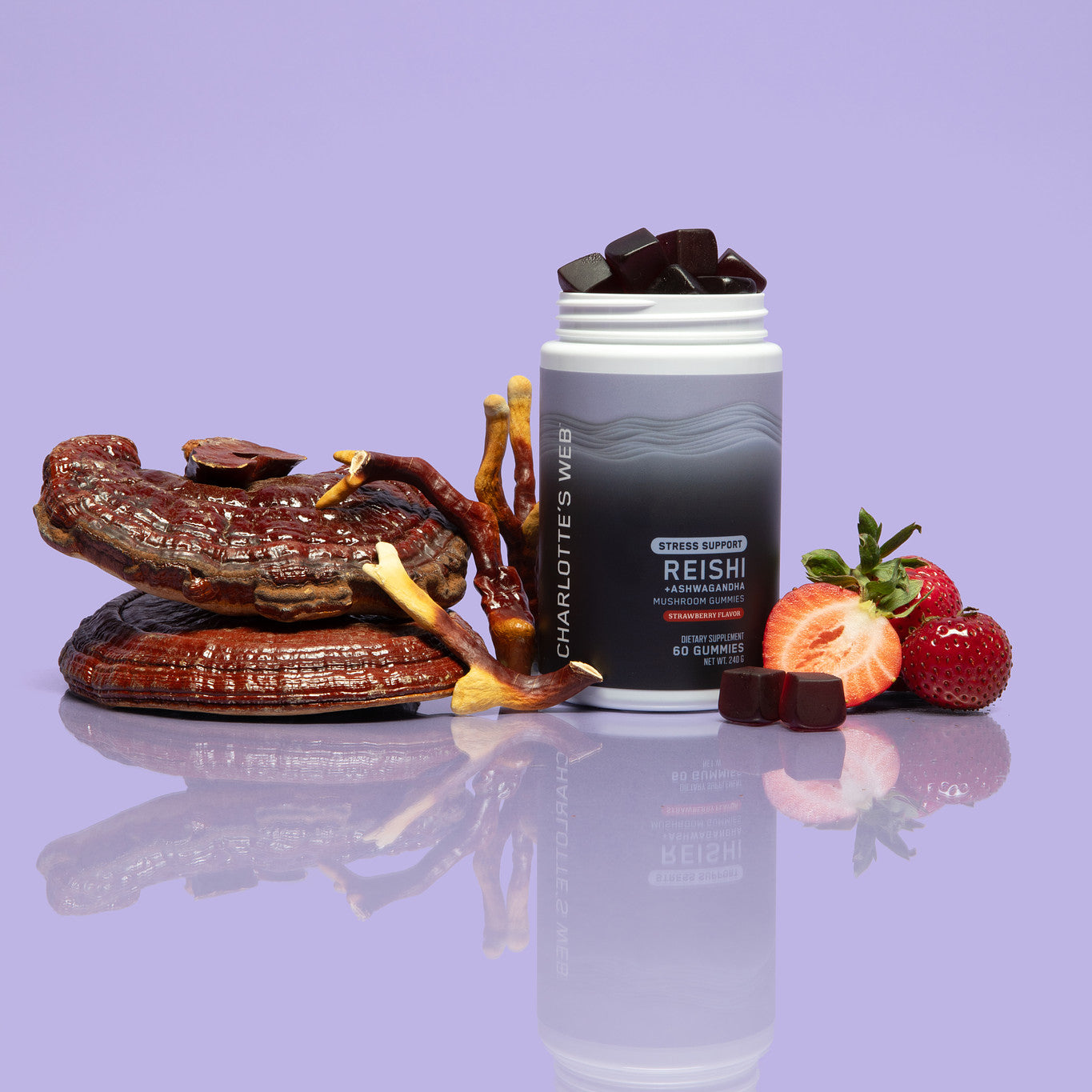 Charlotte's Web The Heart & Soul Bundle Best Price