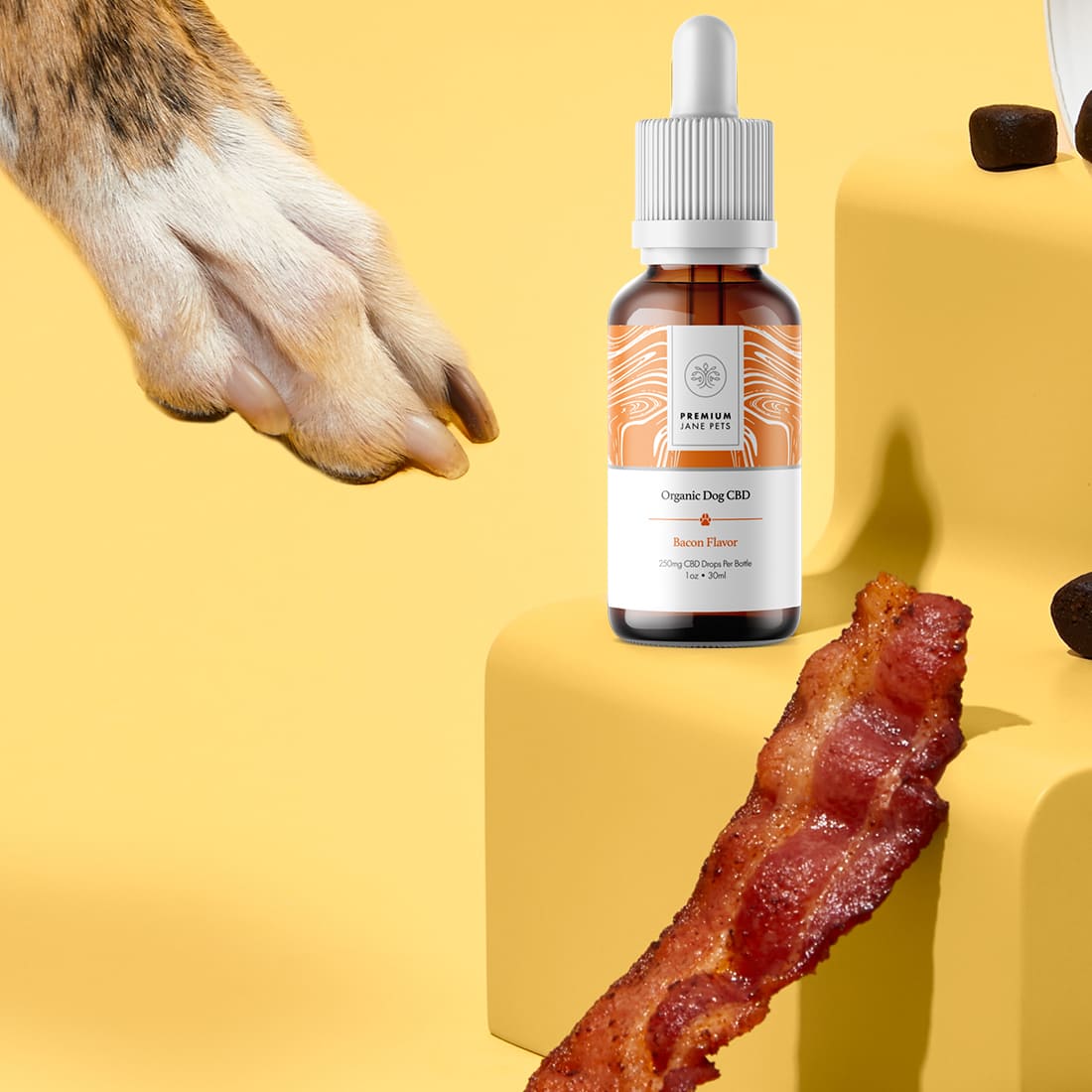 Premium Jane 250 mg CBD Oil for Dogs – Bacon Best Price