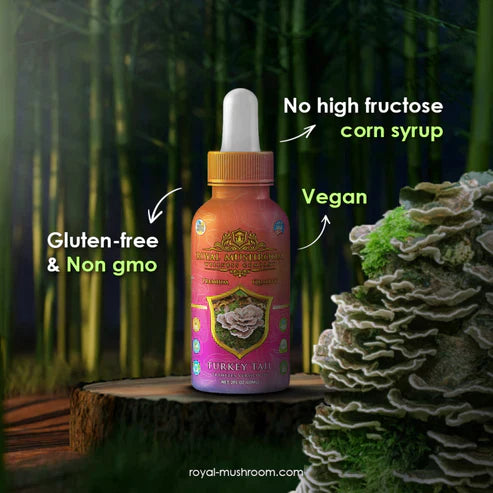 Royal Mushroom Mushroom Oil Tincture 60ml Best Price