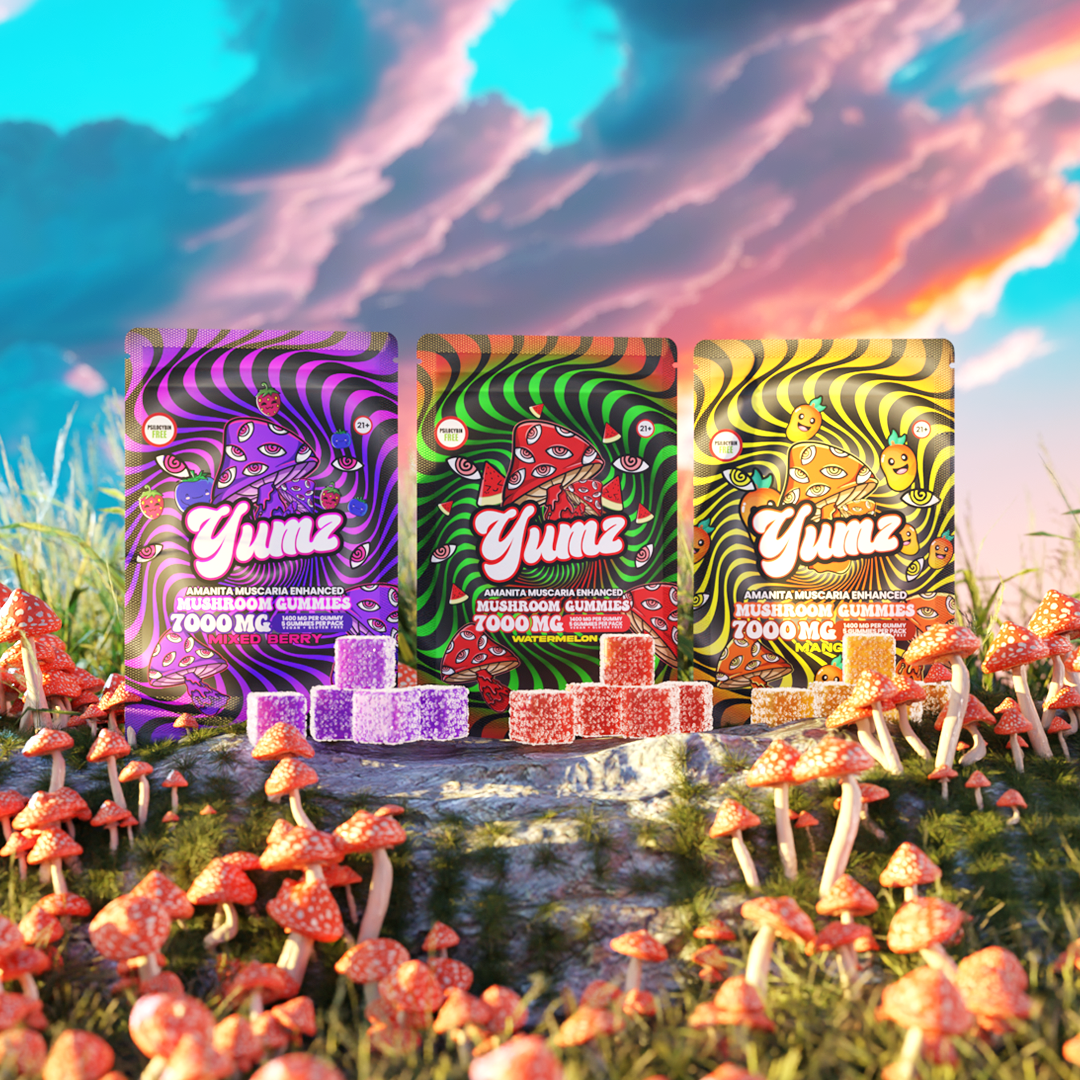 YUMZ - Amanita Muscaria Mushroom Gummies ( Bundle ) Best Price