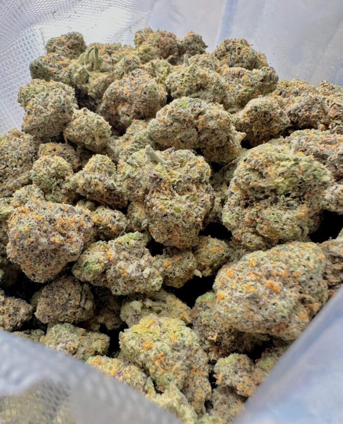 Bloomz | Gold Line THC-A Flower 3.5g - 7g Best Price