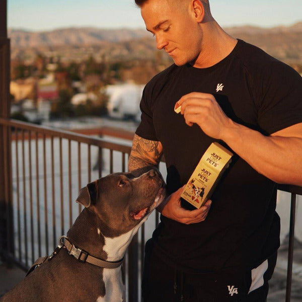 JustCBD - CBD Dog Treats JustPets Best Price