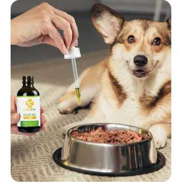 CBDPure CBD Oil for Pets Best Price