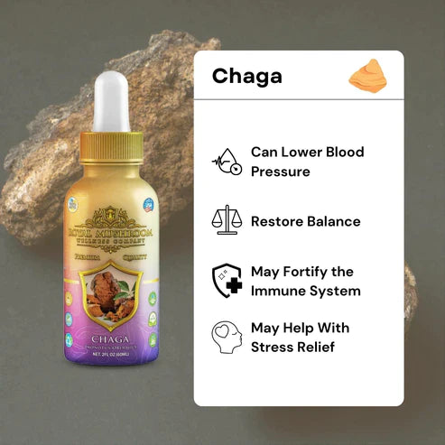 Royal Mushroom Chaga Mushroom Oil Tincture 60ml Best Price