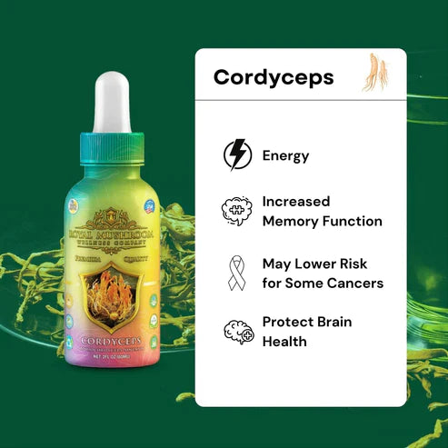 Royal Mushroom Cordyceps Mushroom Oil Tincture 60ml Best Price