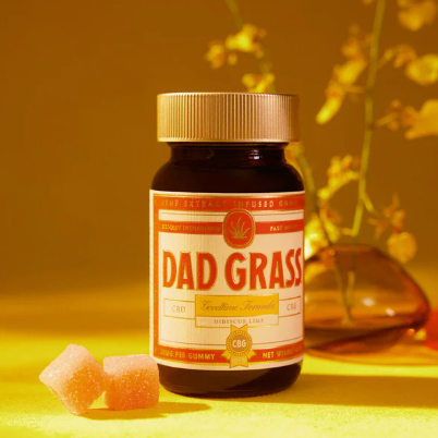 Dad Grass Goodtime Formula CBD + CBG Gummies Best Price