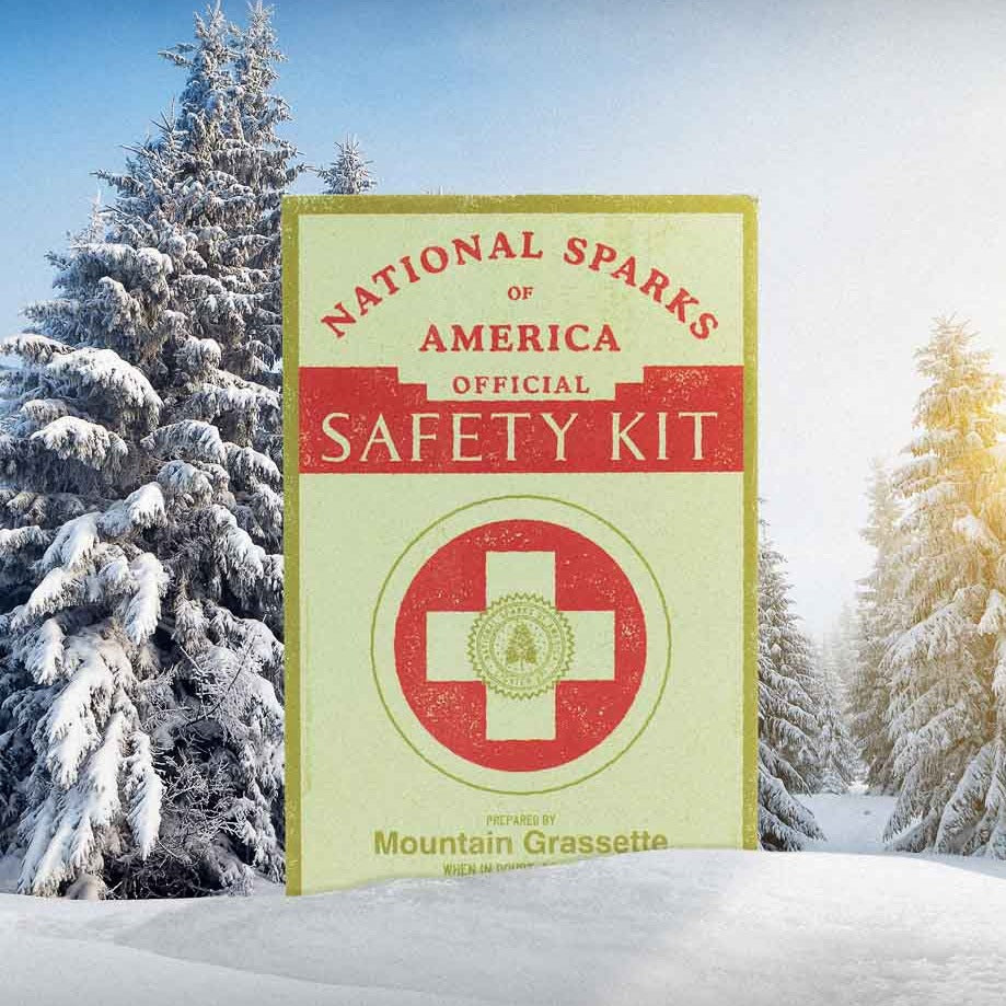 Dad Grass Mountain Grassette Safety Kit Dad Stash Best Price